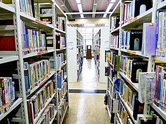 图书馆藏书标签模板 免费下载与高效管理指南